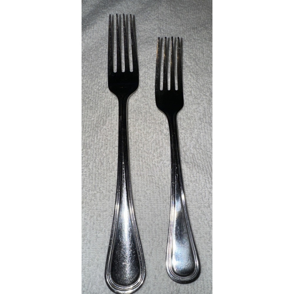 ONEIDA BARCELONA GLOSSY STAINLESS FLATWARE PLAIN OUTLINED EDGE ROUND TIP -2